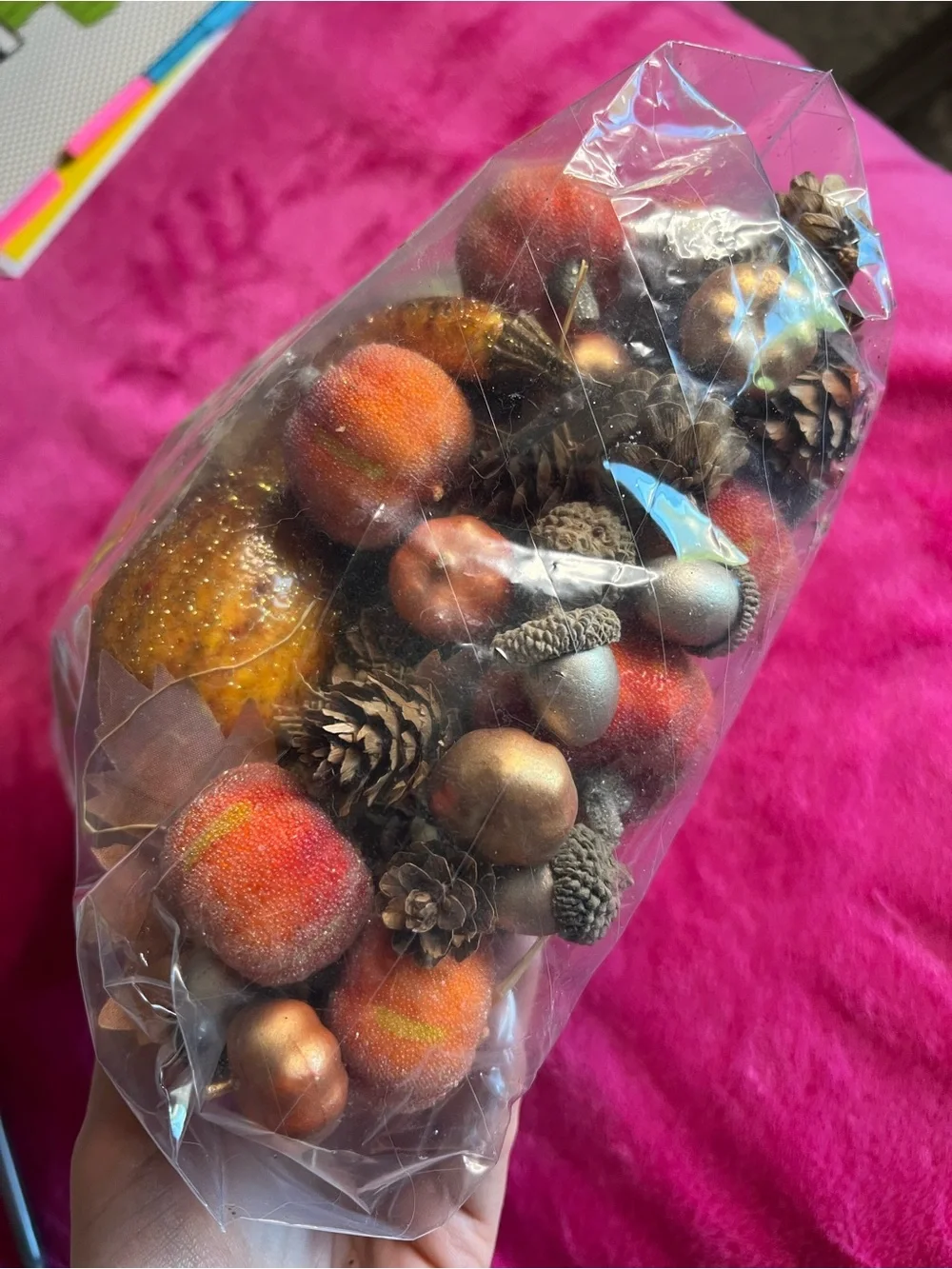 Bag of Decorative Gourds, Pumpkins, Acorns, Pinecones, etc